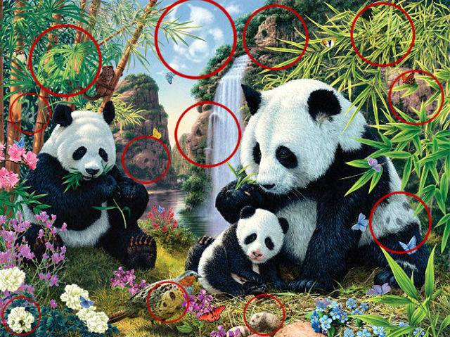 psl374tp8866cjyzcmws