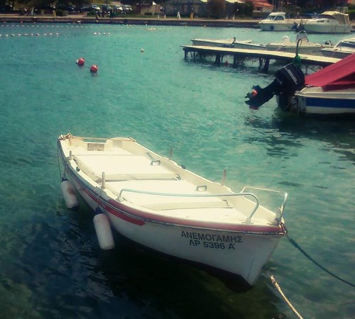 14715566931080275488