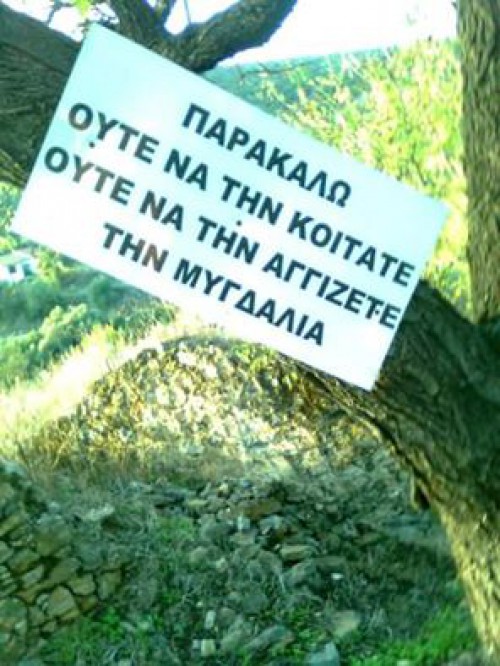 14715566931488892131