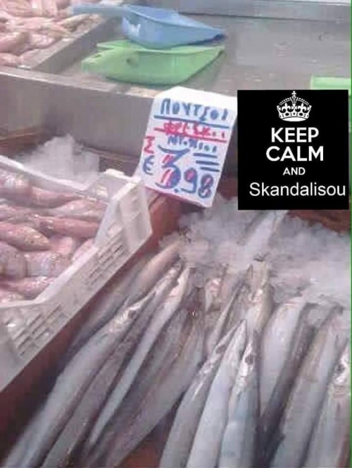 14715566931497896579