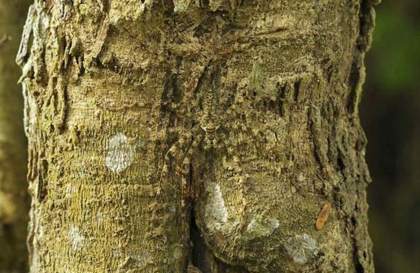 54b39408c5abfb193f0f0ffc17f2bebb