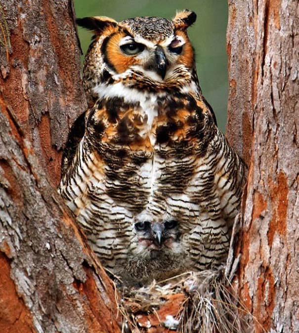 7a9c380da3e9a205d4d15f1dbdc7e34c