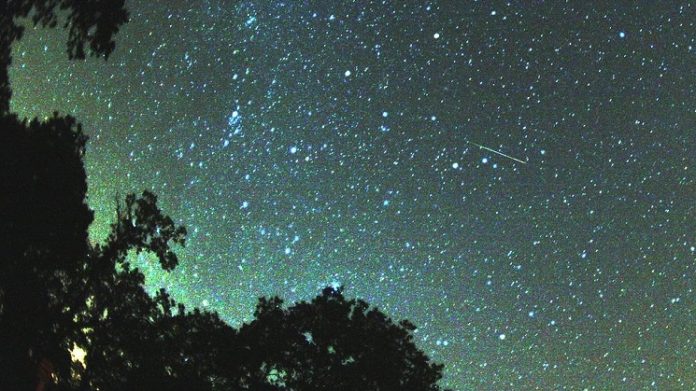 dcf88a8359132ebf28438e94b2b29cf3