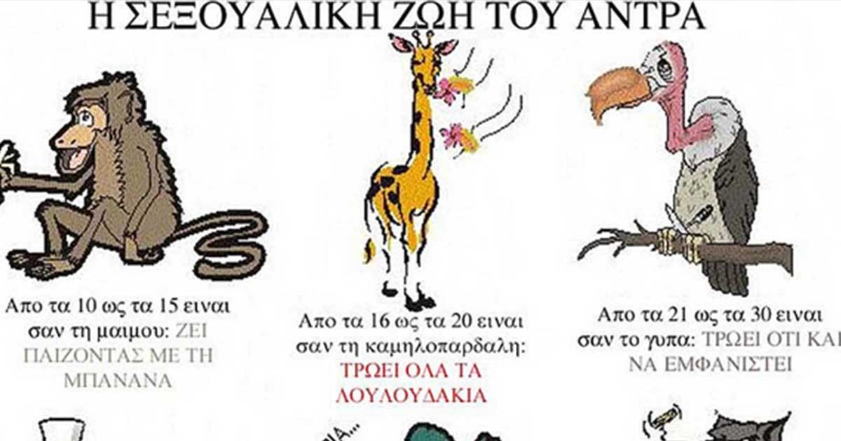 H Eρωτική ζωή ενός άvτρα μέσα από εικόνες