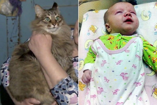 Εγκατέλειψαν βρέφος στα σκουπίδια και το έσωσε μια γάτα!